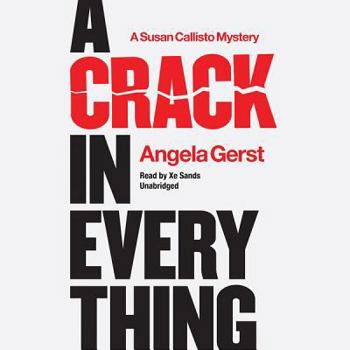 Audio CD A Crack in Everything: A Susan Callisto Mystery Book