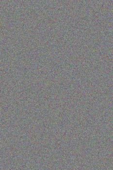 Paperback Colleen O'Merry, Dominatrix to the Stars Book