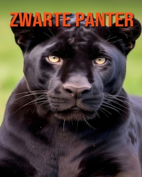 Paperback Zwarte Panter: Fascinerende Zwarte Panter Feiten voor Kinderen met Prachtige Foto's! [Dutch] Book