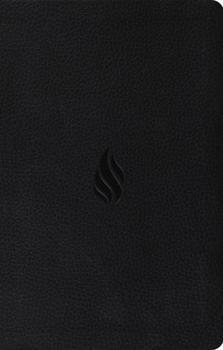 Imitation Leather Premium Gift Bible-ESV-Flame Design Book