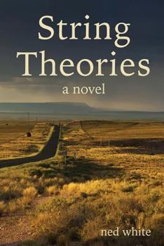 Paperback String Theories Book