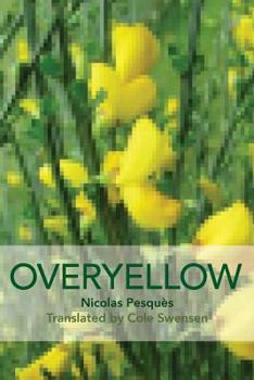 Paperback Overyellow: The Poem as Installation Art Book