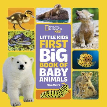 Hardcover Little Kids First Big Book of Baby Animals Book