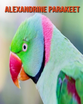 Paperback Alexandrine Parakeet: Learn About Alexandrine Parakeet and Enjoy Colorful Pictures Book