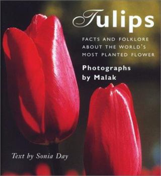 Paperback Tulips: Facts and Folklore about the World's Most Planted Flower Book