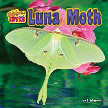 Luna Moth - Book  of the Weirder and Cuter