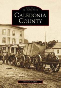 Paperback Caledonia County Book