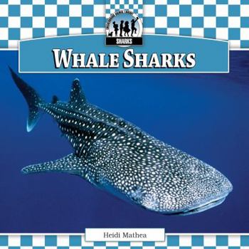 Library Binding Whale Sharks Book