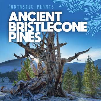 Library Binding Ancient Bristlecone Pines Book