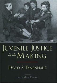 Hardcover Juvenile Justice in the Making Book