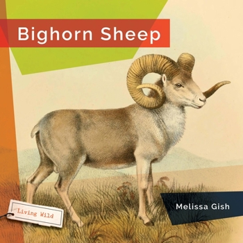 Bighorn Sheep - Book  of the Living Wild