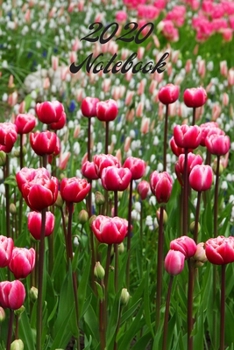 2020 Notebook: A5 (6 x 9 Inches) Notebook Journal Diary. High Quality Hand Writing Journal with 100 Pages