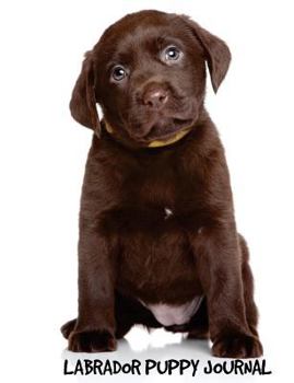 Labrador Puppy Journal : 7. 44 X 9. 69 Inch Dog Notebook, Labrador Retriever, Chocolate Lab, Wide Ruled Lined Composition Book, 200 Pages
