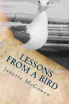 Lessons From A Bird: ...and Other Life Reflections