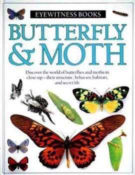 Hardcover Butterfly & Moth Book