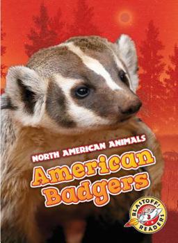 Library Binding American Badgers Book