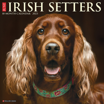 Calendar Just Irish Setters 2023 Wall Calendar Book