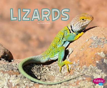 Hardcover Lizards Book