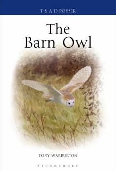 The Barn Owl