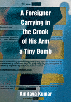 Paperback A Foreigner Carrying in the Crook of His Arm a Tiny Bomb Book