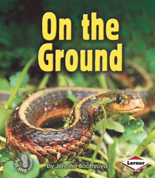 On the Ground - Book  of the First Step Nonfiction