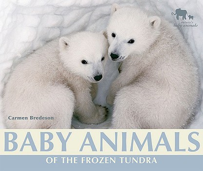 Library Binding Baby Animals of the Frozen Tundra Book