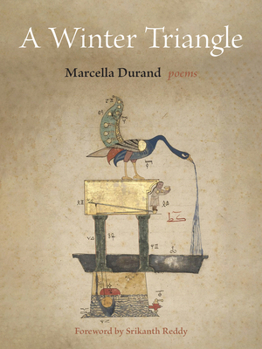 Paperback A Winter Triangle Book
