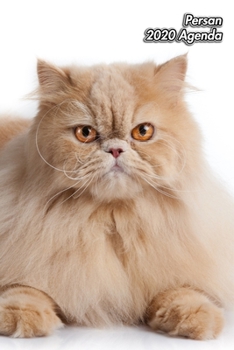 Paperback Persan 2020 Agenda: Chaton ou Chat - 139 Pages - 12 Mois - Format A5 - Agenda - Journalier - Planificateur - Semainier Simple - Calendrier [French] Book