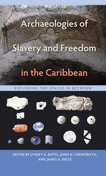 Paperback Archaeologies of Slavery and Freedom in the Caribbean: Exploring the Spaces in Between Book