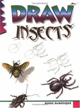 Paperback Draw Insects Book