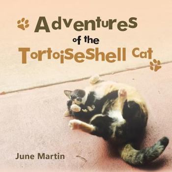 Paperback Adventures of the Tortoiseshell Cat Book