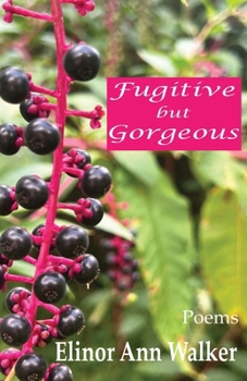 Paperback Fugitive but Gorgeous Book