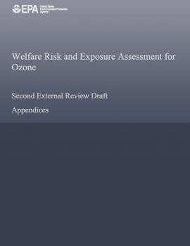 Paperback Welfare Risk and Exposure Assessment for Ozone Second External Review Draft Book