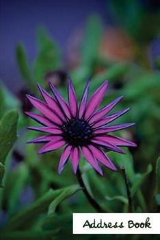 Address Book.: (Flower Edition Vol. 145) Glossy And Soft Cover, Large Print, Font, 6" x 9" For Contacts, Addresses, Phone Numbers, Emails, Birthday And More.