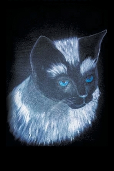 Paperback Tales From The Millinery Shop With a Twist Book