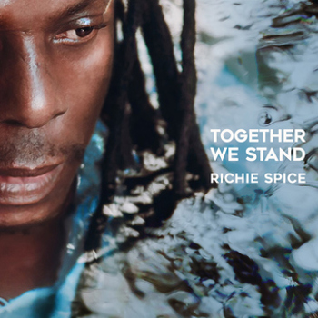 Vinyl Together We Stand Book