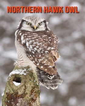 Paperback Northern Hawk Owl: Amazing Facts about Northern Hawk Owl Book