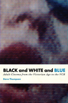 Paperback Black and White and Blue: Adult Cinema from the Victorian Age to the VCR Book