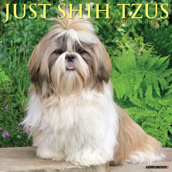 Calendar Just Shih Tzus 2025 12 X 12 Wall Calendar Book