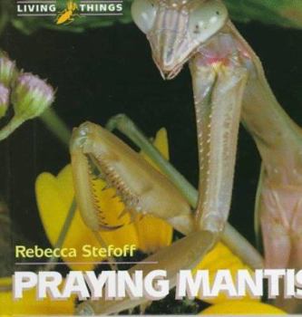 Praying Mantis (Living Things) - Book  of the Living Things