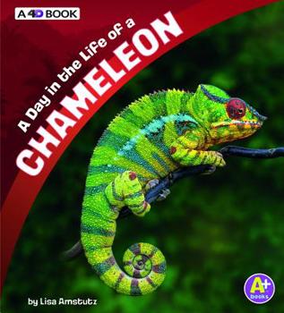 Hardcover A Day in the Life of a Chameleon: A 4D Book