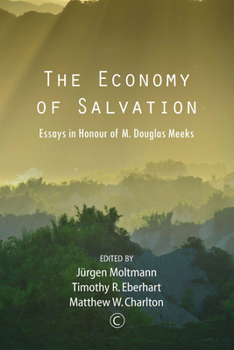 The Economy of Salvation: Essays in Honor of M. Douglas Meeks
