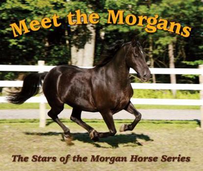 Hardcover Meet the Morgans: The Stars of the Morgan Horse Book