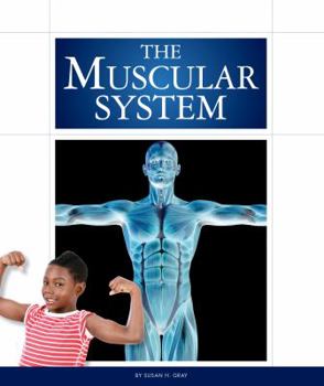 Library Binding The Muscular System Book