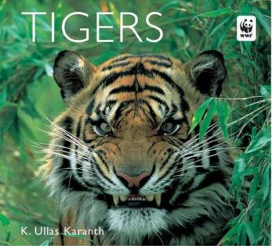 Paperback Tigers Book
