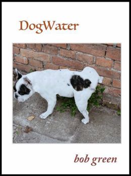 DogWater