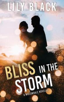Bliss in the Storm - Book #1.5 of the Willowdale