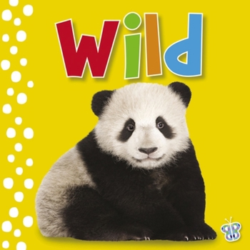 Board book Touch and Feel - Wild Book