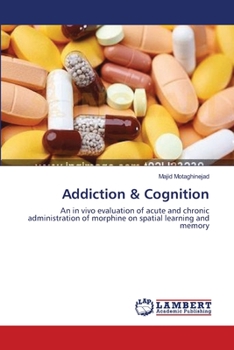 Paperback Addiction & Cognition Book
