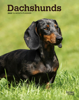 Spiral-bound Dachshunds 2022 Engagement Book